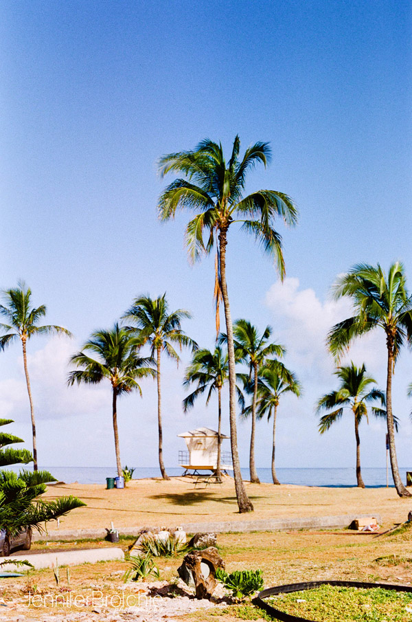 Oahu Photographer, Oahu Family Photographer, Oahu Film Photographer, Photographer in Waikiki, Family Portraits in KoOlina, Turtle Bay Resort Beach Photos