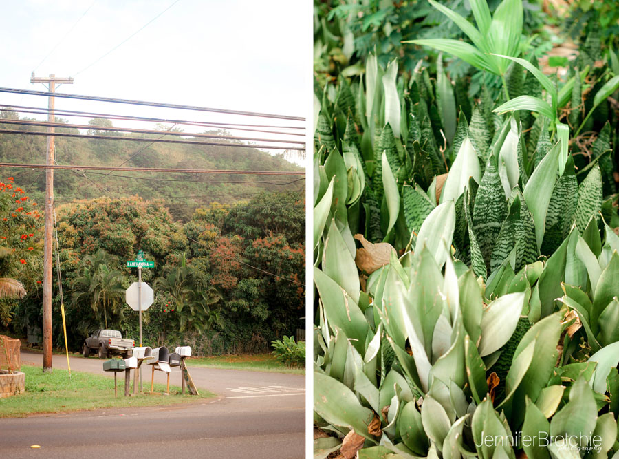 Oahu Photographer, Oahu Family Photographer, Photo Shoots in Waikiki, KoOlina Beach Photo shoots, Disney Aulani Resort Photographer, Turtle Bay Resort Photographer, Best Affordable Photographer Oahu