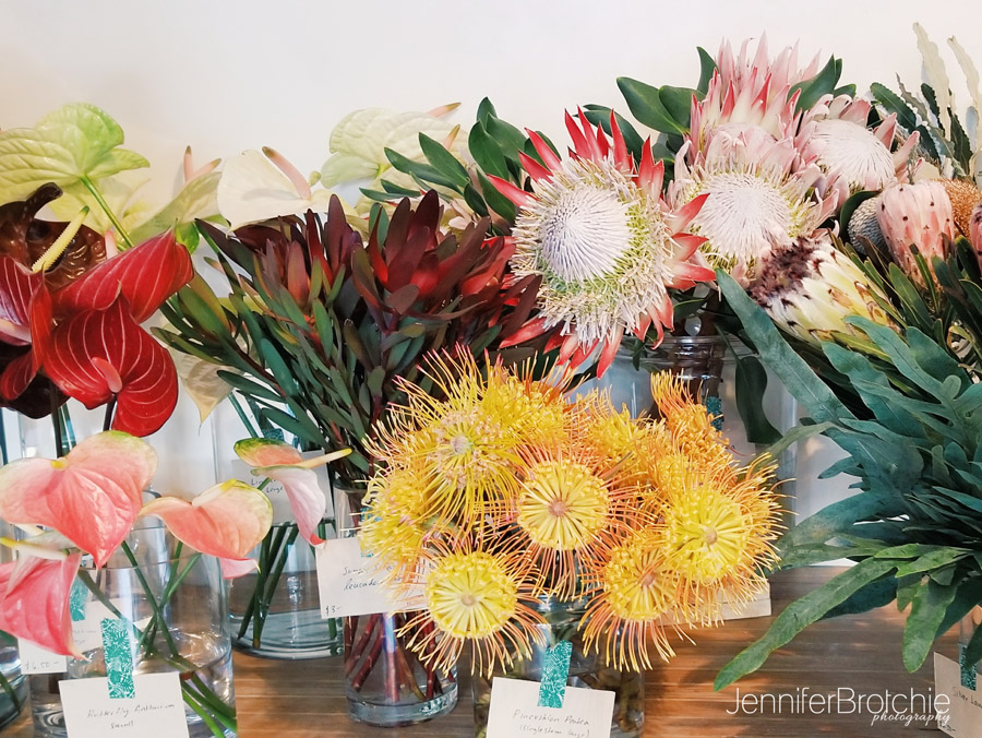 Oahu Photographer, Oahu Family Photographer, Beach Photo Shoots in Oahu, Photographer in Waikiki, Best Affordable Beach Photo Shoots