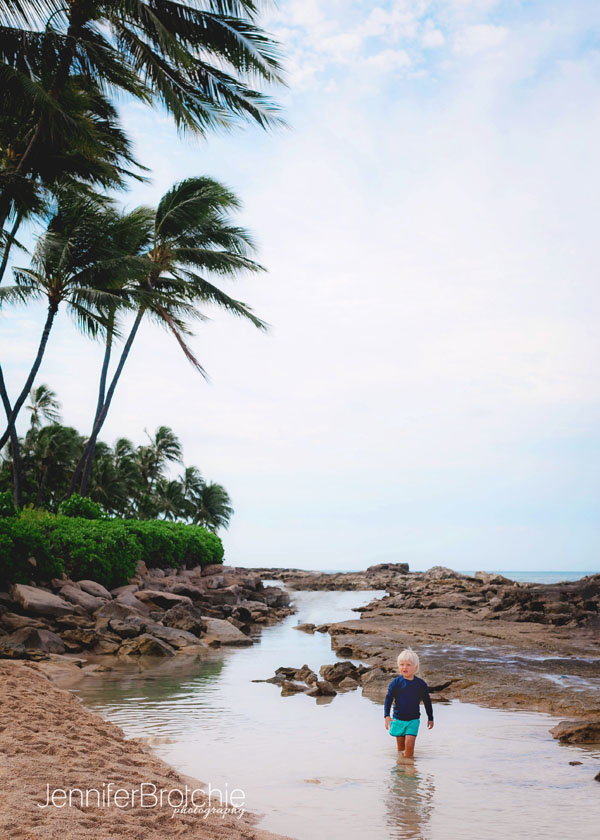 Oahu Photographer, Family Photographer in Oahu, Turtle Bay Resort Photographer, Photo Shoots near Waikiki, Ko Olina Beach Photographer, Disney Aulani Resort Photographer