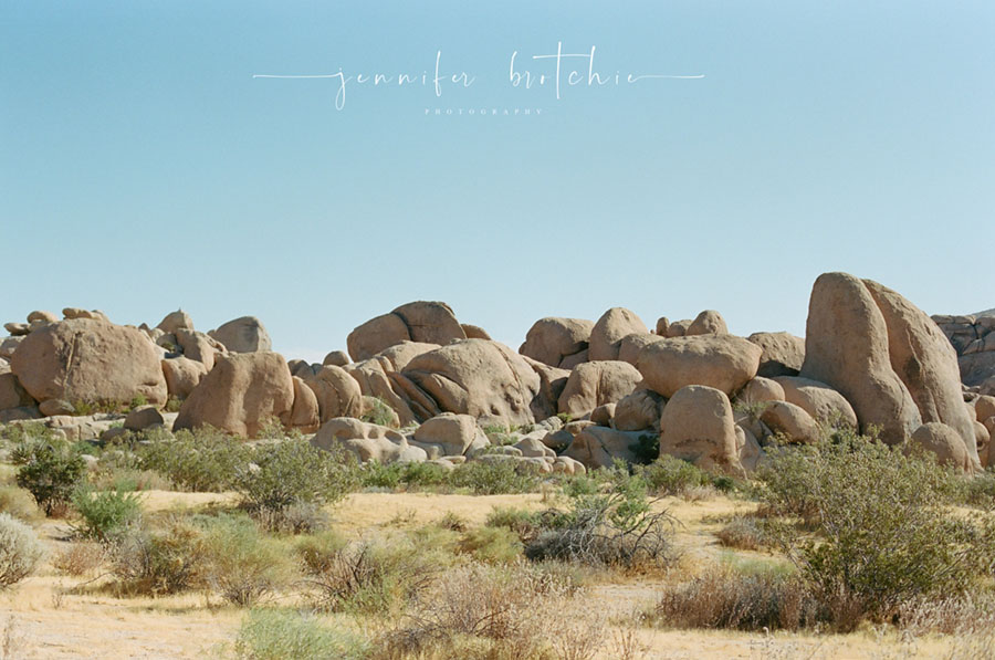 Redlands Family Photographer, Redlands Newborn and Baby Photographer, Redlands Studio Photographer, Best Affordable Redlands Photographer