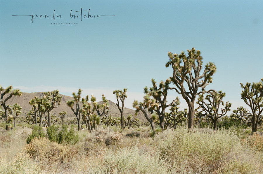 Redlands Family Photographer, Redlands Newborn and Baby Photographer, Redlands Studio Photographer, Best Affordable Redlands Photographer