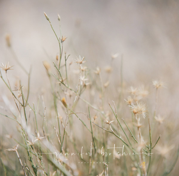 Redlands Photographer, Joshua Tree Road Trip, Inland Empire Photographer, Suburban Overlanding