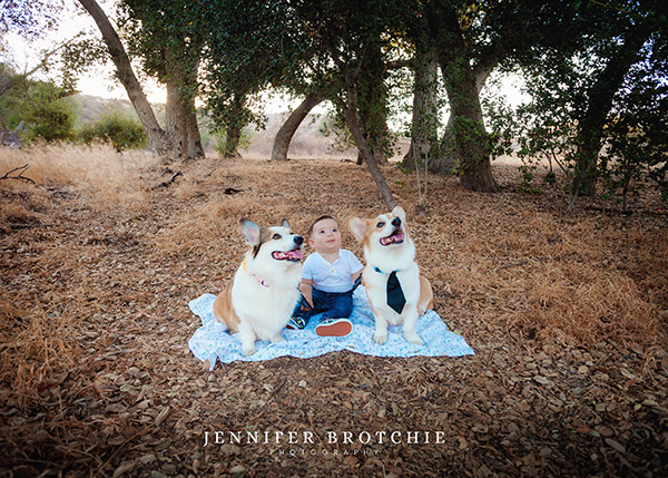 Redlands Family Photos, Redlands Photographer, Affordable Family Photoshoots Redlands