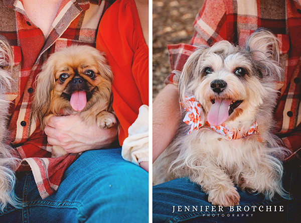 Redlands Family Photography, Baby Portrait Photo Shoots