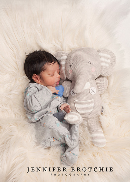 Redlands Newborn Photographer, Newborn Photoshoots in Redlands, Studio Portraits for Newborns